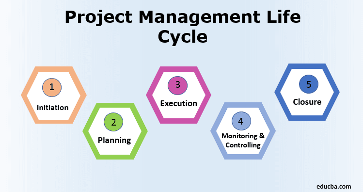 Project Life Cycle Phases